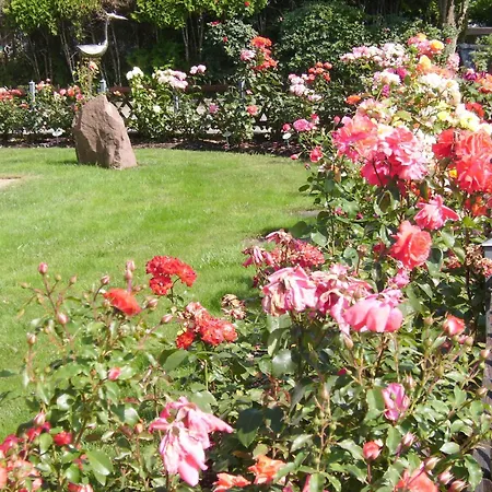 Eva Maria * 马尔贝格