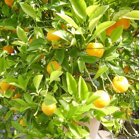 Apartamento Eva Maria Mahlberg