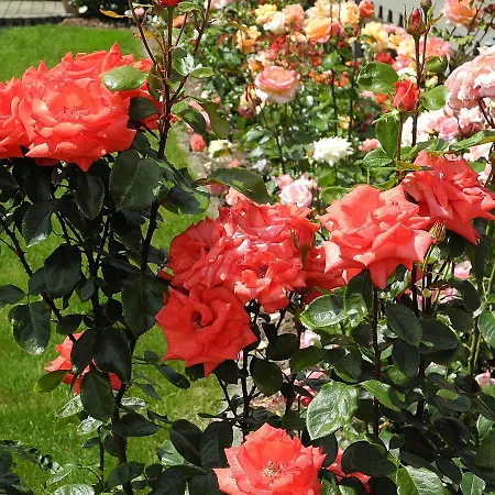 公寓 Eva Maria 马尔贝格